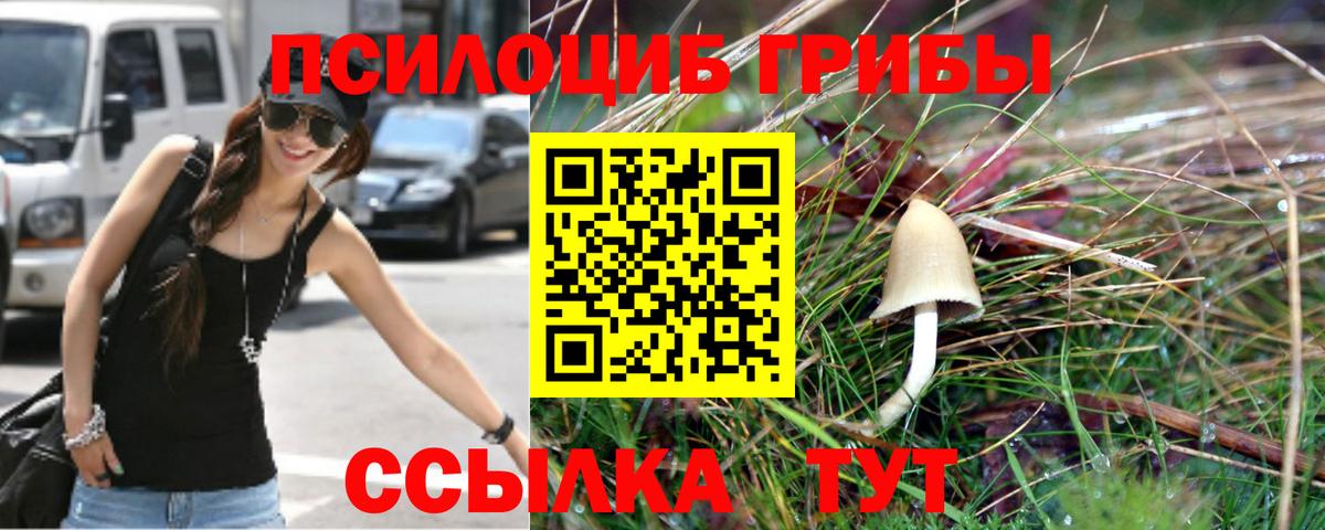 купить наркотики сайты  Вход с VPN  Галлюциногенные грибы MAGIC MUSHROOMS  Ростов-на-Дону  Псилоцибиновые грибы GOLDEN TEACHER 